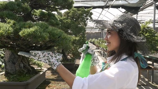 Beautiful asian girl working in the japanese greenhouse
