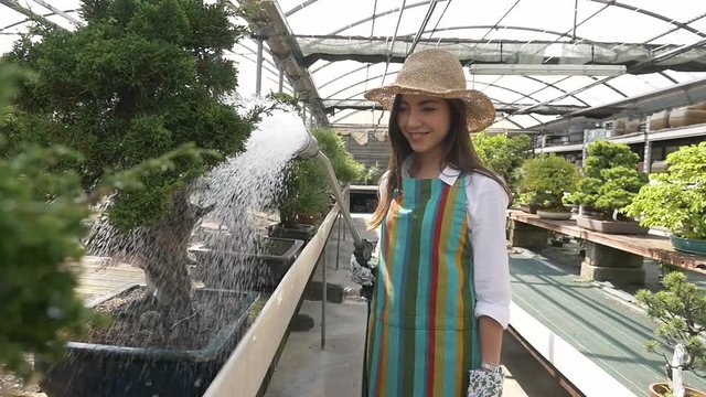 Beautiful asian girl working in the japanese greenhouse
