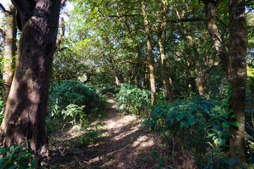 mountain landscape national park with trekking route walking trail to the peak beautiful view