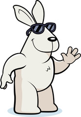 Fototapeta na wymiar Cartoon Rabbit Sunglasses