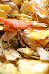  natural sportive  muesli background. for horse.macro