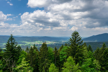 Blick vom Berg in das Thal mit Wolken am Himmel und B&auml;ume im Vordergrund im Bayerischen Wald
