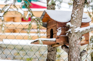 birdhouses mounted on wood 