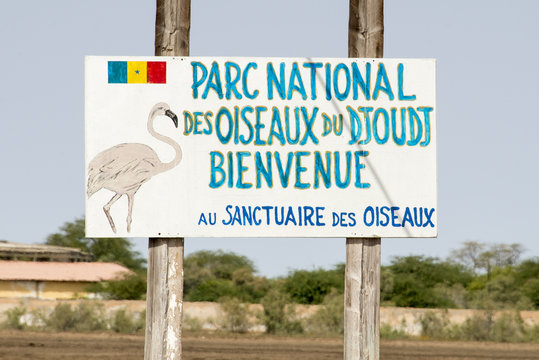 Parc national des oiseaux du Djoudj, S&eacute;n&eacute;gal