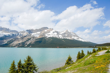 春のカナディアン・ロッキー　バンフ国立公園　ボウ湖（カナダ）