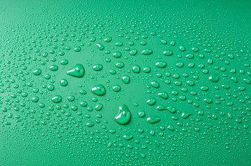 Water Drops on a Green Background