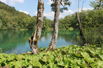 lago natura