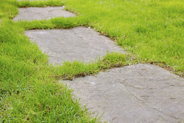 Stone slabs path in the garden green grass