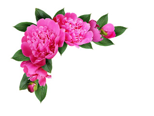 Corner arrangement with pink peony flowers, buds and leaves
