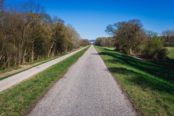Fototapeta na wymiar Path on a levee in Danube Auen National Park in Lower Austria