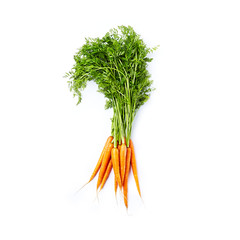 Bunch of fresh Organic Carrots on white background