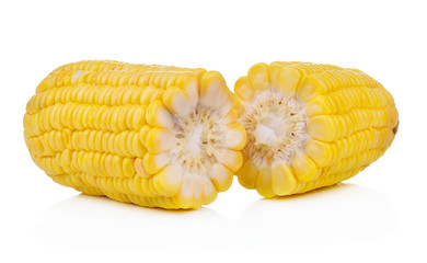 Sweet yellow corn isolated on white background.