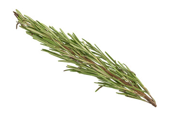 A single branch of organic rosemary on a white background.