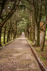 Filerimos and architecture on the Island of Rhodes, Greece
