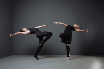 Professional graceful ballet dancers training