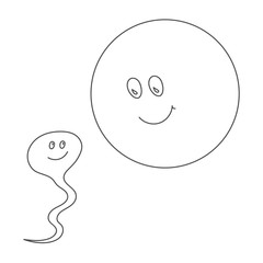 Spermatozoon and ovum. Fertilization process. Vector illustration.