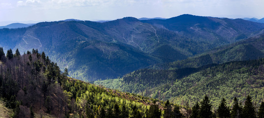Fototapeta na wymiar panorama of the Carpathian mountains, national park Skolevski beskidy, Lviv region of Western Ukraine