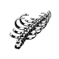 Human rib cage broken. Vector hand drawn illustration vector of the skeleton in a grafiti style. Anatomical sketch background. tattoo design.