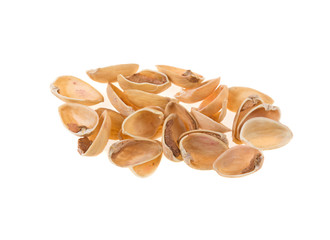 empty shell of pistachios on a white background