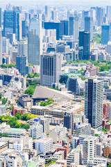 Obraz premium 初夏の東京 Early summer of Tokyo