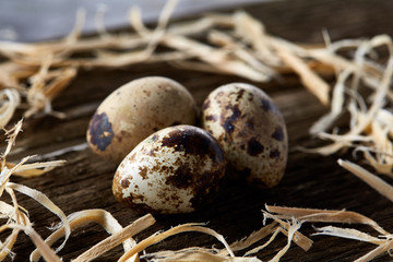 Obraz premium Conceptual still-life with quail eggs in hay nest over dark wooden background, close up, selective focus