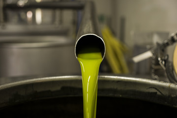 uscita dell'olio extra vergine d'oliva