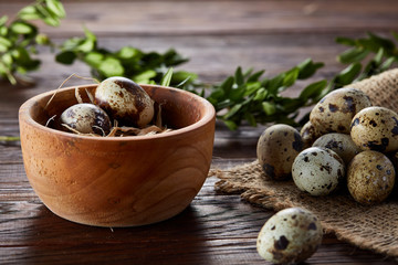 Bowl with eggs quail, eggs on a homespun napkin, boxwood on wooden background, close-up, selective focus