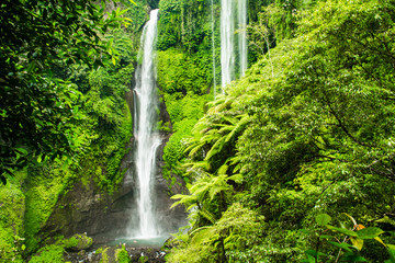 Fototapeta premium Sekumpul waterfall in Bali surrounded by tropical forest