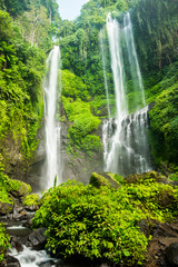 Sekumpul waterfall in Bali surrounded by beautiful tropical forest