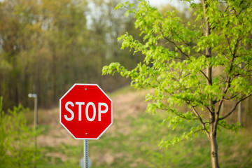 Stop Sign in Parking Lot with Forest Background