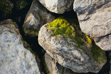 Rocks with green stuff growing on it