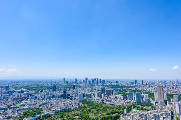 Fototapeta premium Wczesnym latem Tokio panorama Panoramę miasta Tokio, Japonia