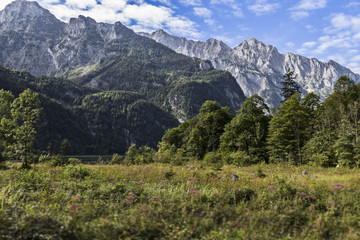Landschaft um den Königssee im Berchtesgadener Land