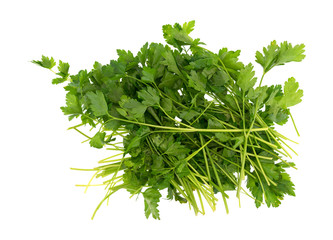 Parsley stalks and leaves on a white background.