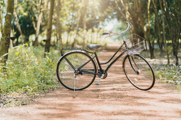 Fototapeta na wymiar old vintage bicycle with forest background