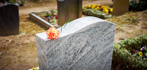 Grief at cemetery / Red carnation on gravestone / Tombstone
