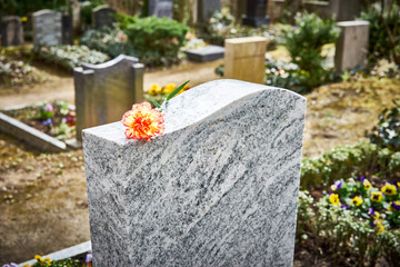 Grief at cemetery / Red carnation on gravestone / Tombstone - obrazy, fototapety, plakaty