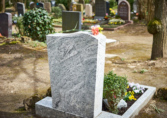 Grief at cemetery / Red carnation on gravestone / Tombstone