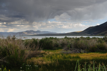 Classic sand stone formations, known as Tufa, higlighted along the coast line of Mono Lake, near...
