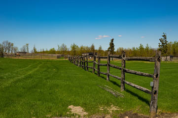 Fototapeta premium summer pasture fence