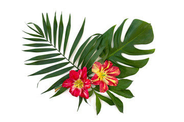 Tropical leaves palm tree and monstera with red yellow flowers on a white background. Top view, flat lay.