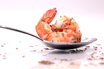 shrimps with white background