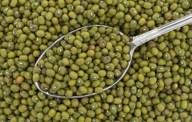 Top view of a spoonful of organic mung beans.