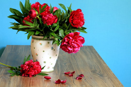 Burgundy Peonies In Vase
