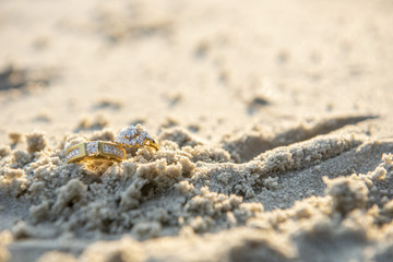 pair of wedding ring on beach
