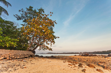 Exotic tropical beach