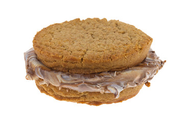 Hazelnut and white chocolate cookie sandwich isolated on a white background.