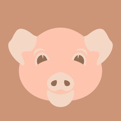 pig face vector illustration flat style   front