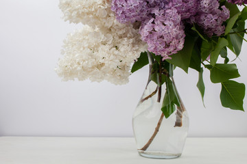 Lilac flowers in vase against white background