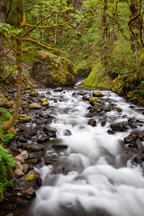 Naklejka na ściany i meble Rocky stream in Oregon, long exposure
